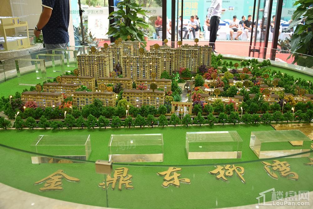 金鼎•东柳湾实景图