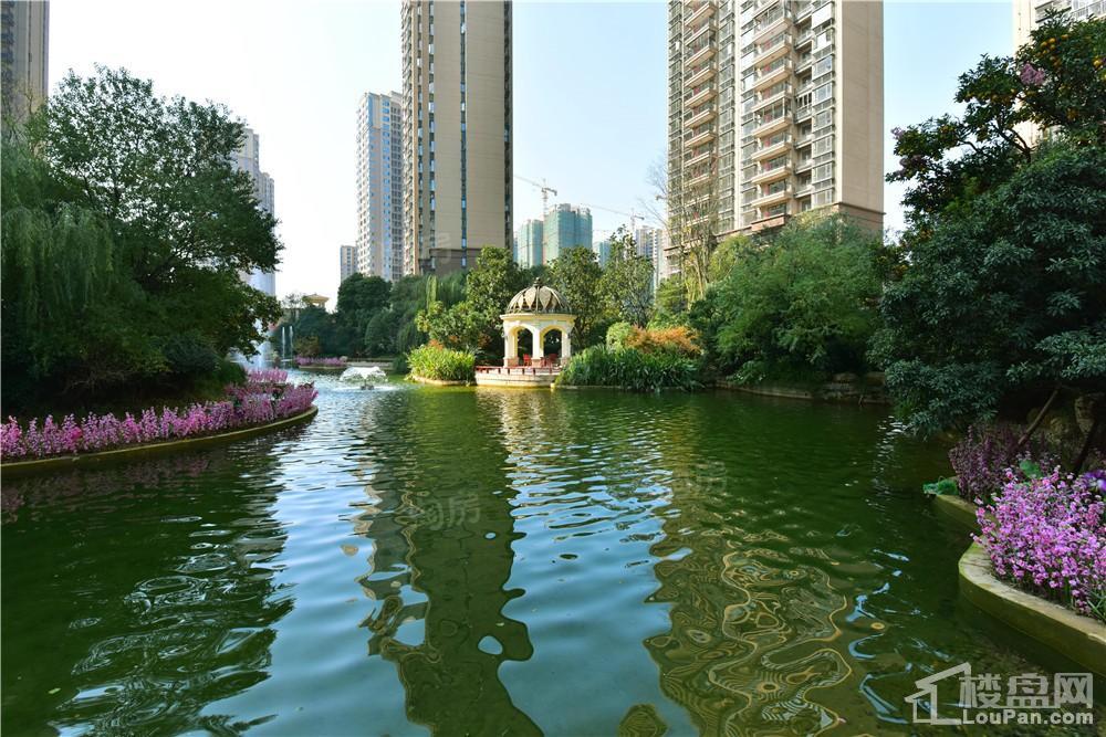 恒大江湾实景图