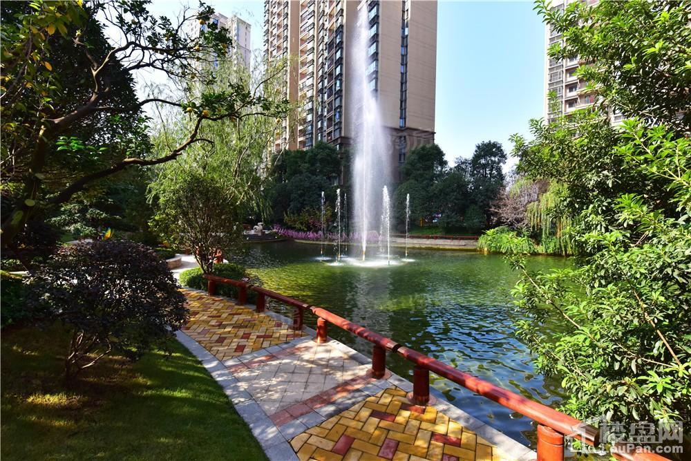 恒大江湾实景图