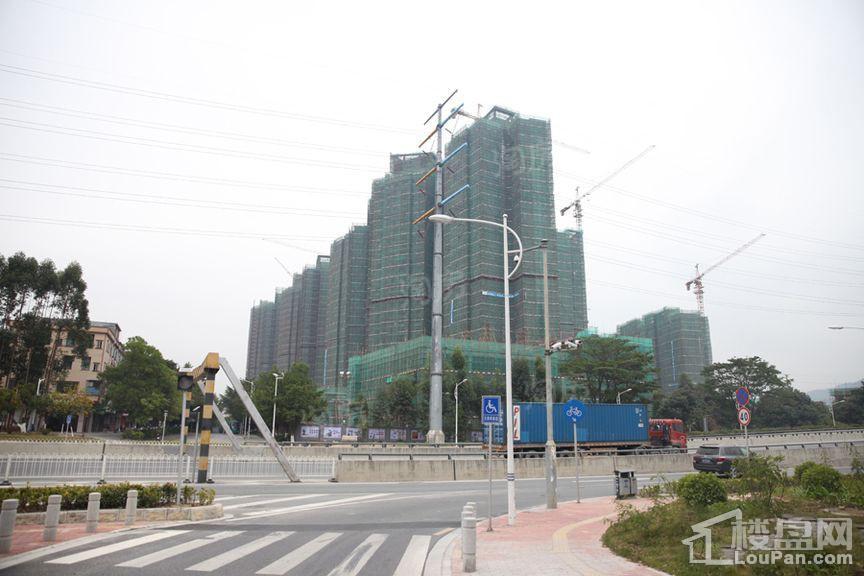 珠江嘉园实景图