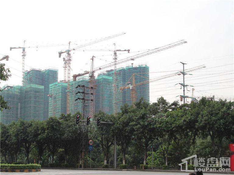 珠江嘉园实景图