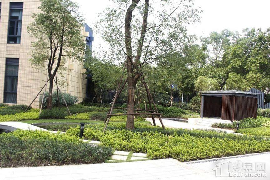 珠江嘉园实景图