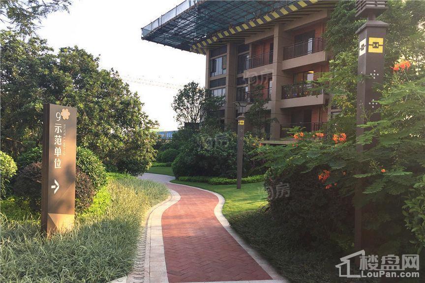 佳兆业城市广场实景图