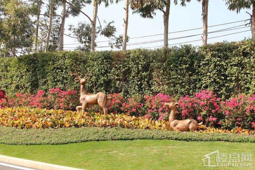 佳兆业城市广场实景图