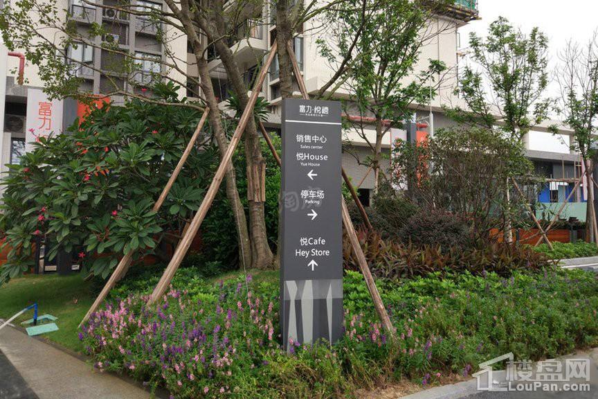 富力悦禧城实景图