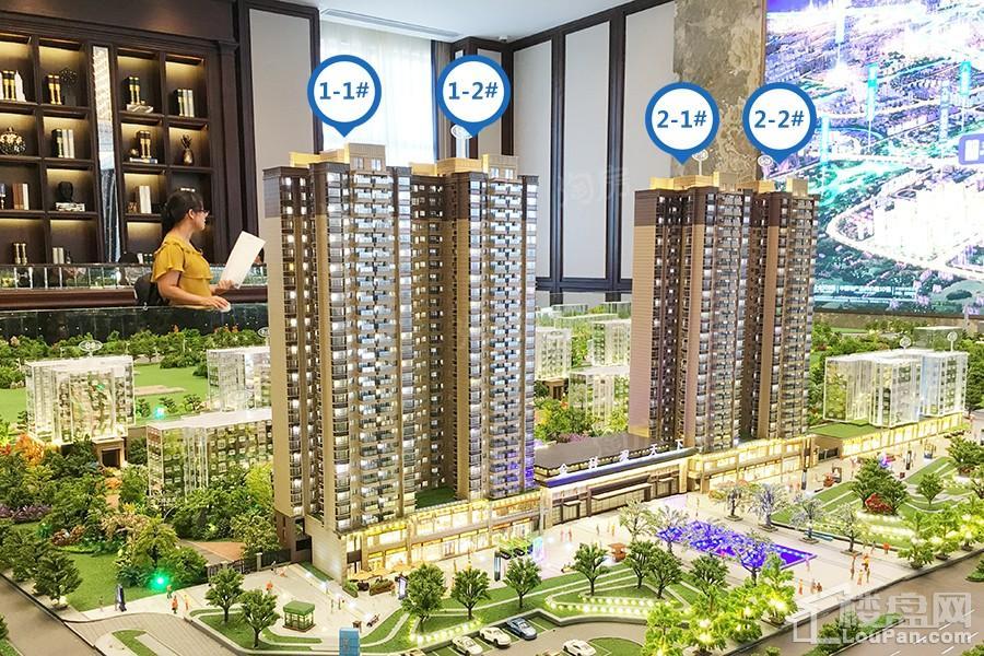 金科观天下实景图