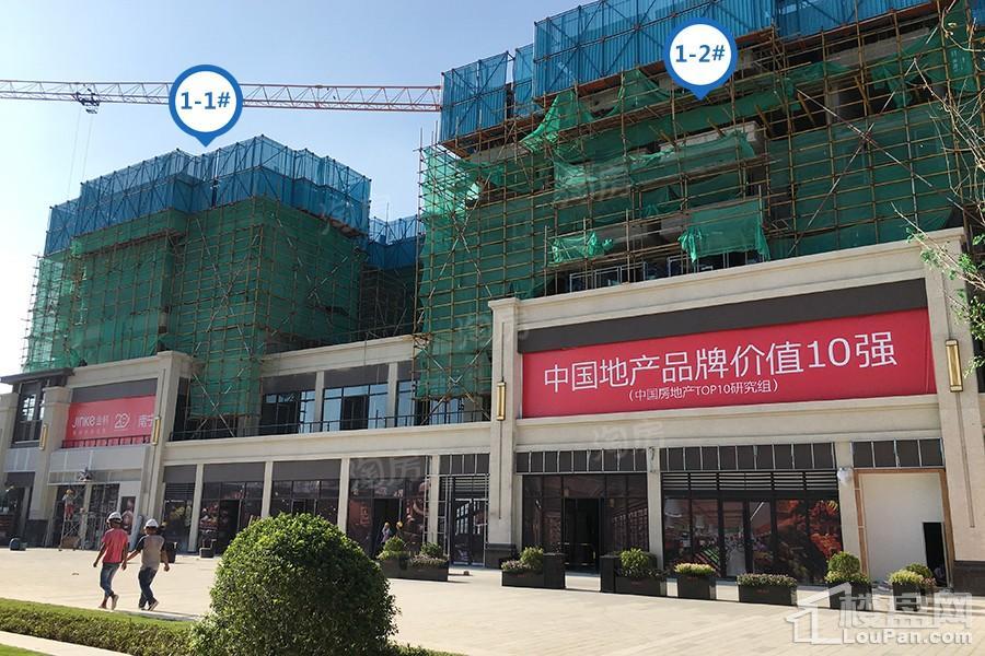 金科观天下实景图