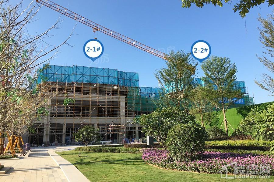 金科观天下实景图