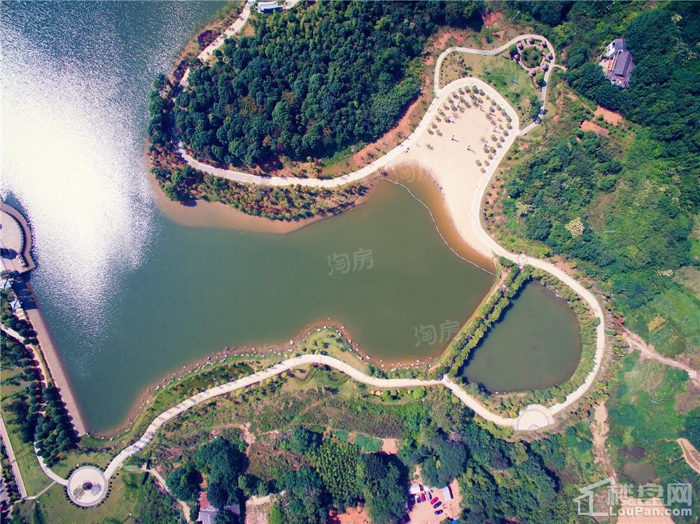 中建亮月湖实景图