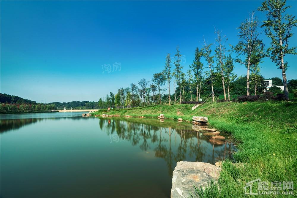 中建亮月湖实景图