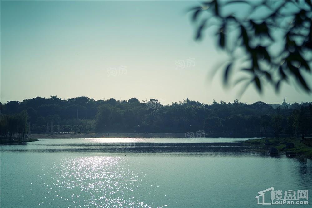 中建亮月湖实景图