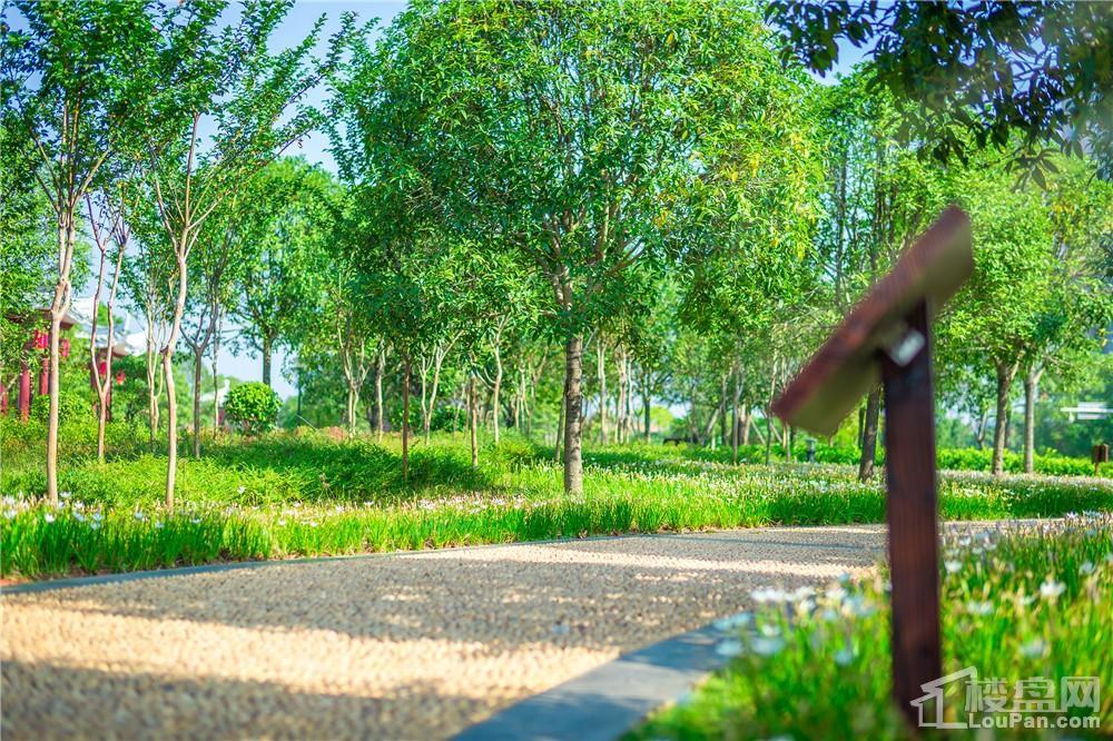 中建亮月湖实景图