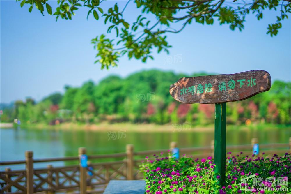 中建亮月湖实景图