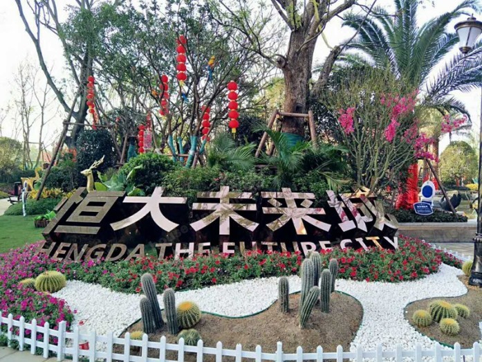实景图