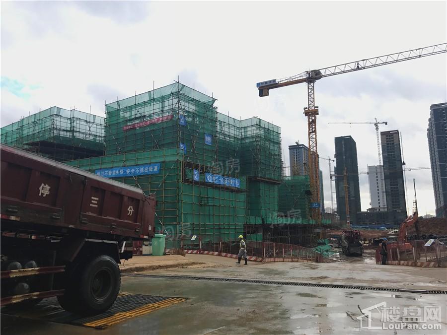 荣和公园里实景图