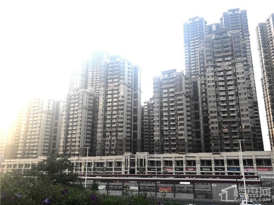 荣和悦澜山实景图