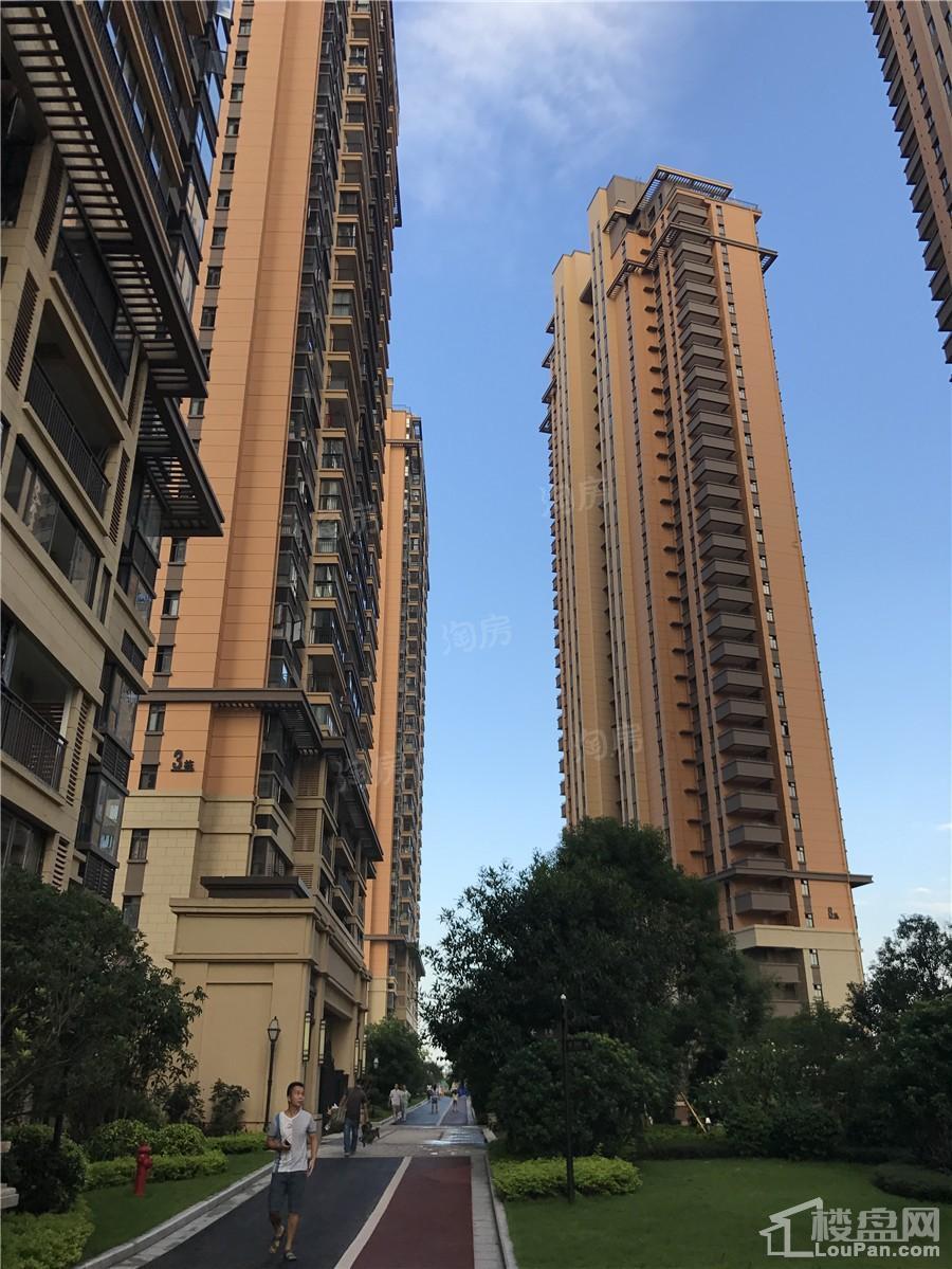 联发君澜实景图