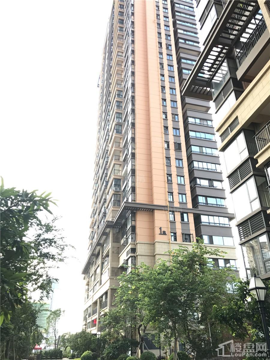 联发君澜实景图