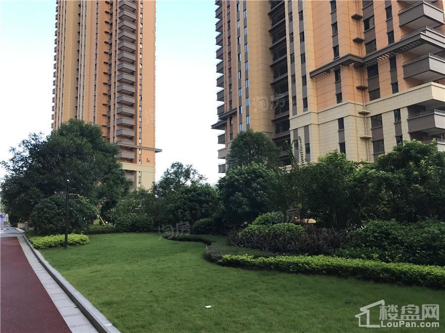 联发君澜实景图