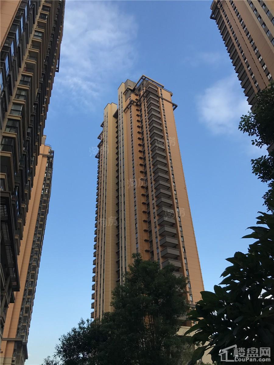 联发君澜实景图