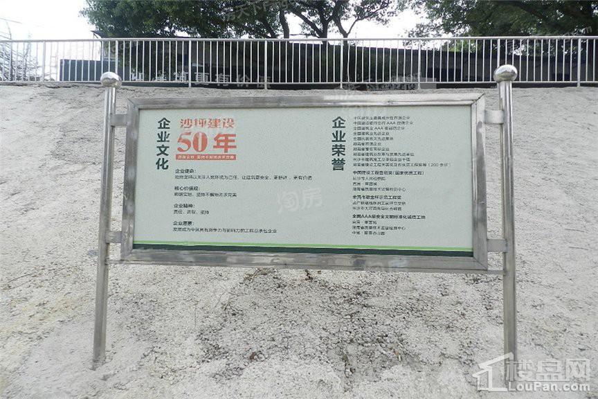 实景图