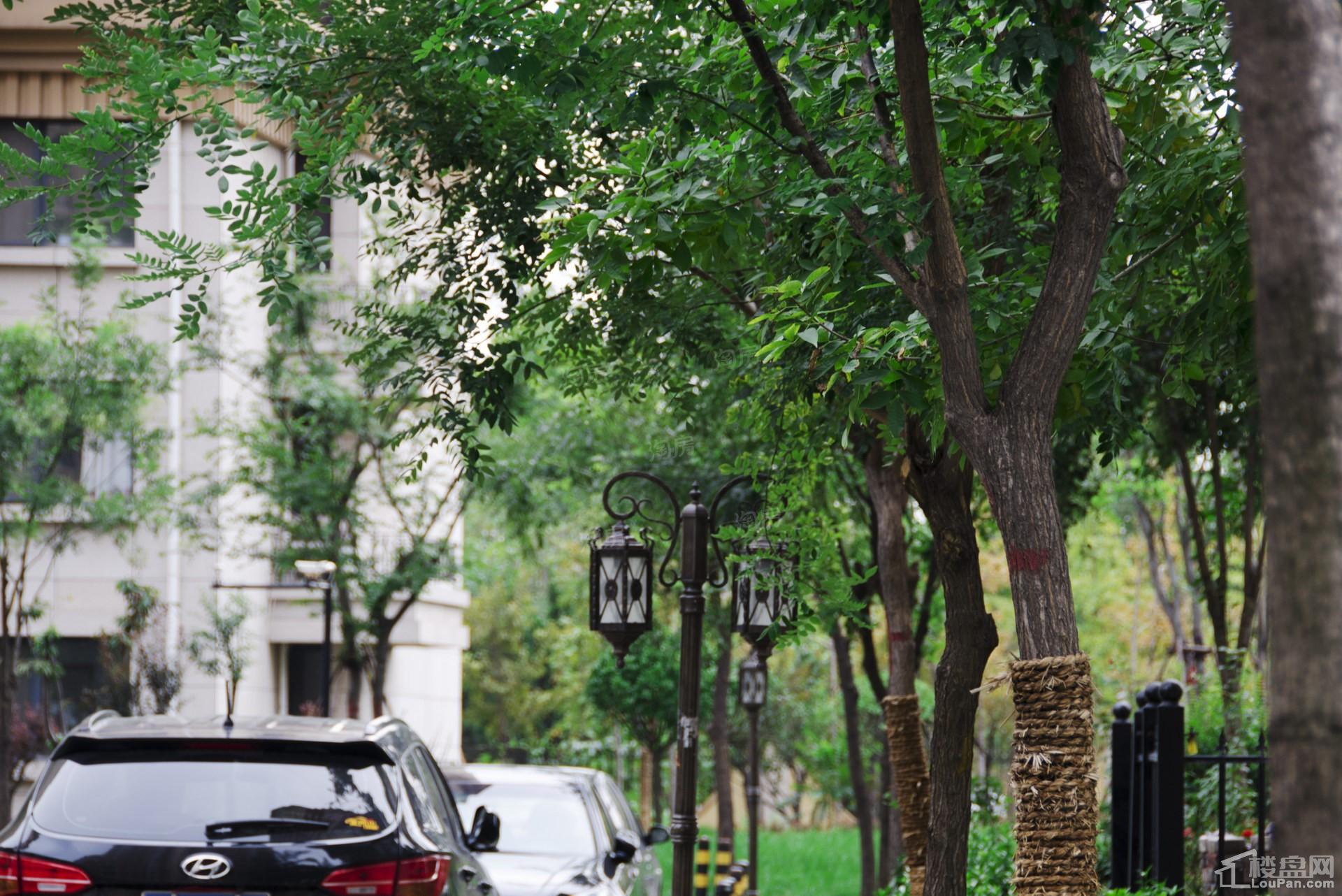 春申君临天下实景图