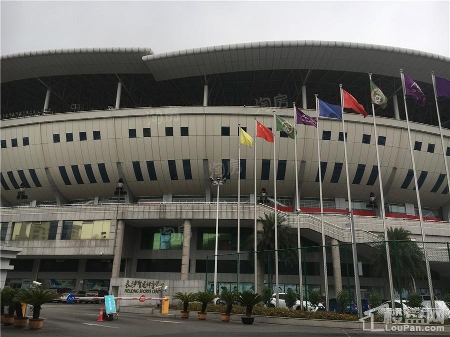 天心白沙里实景图