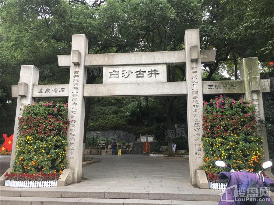 天心白沙里实景图