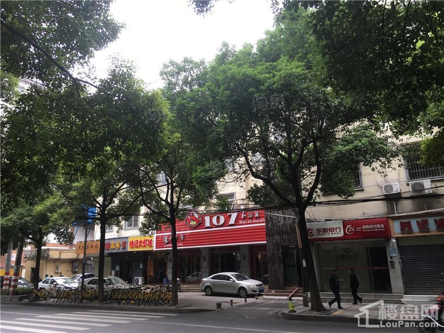 天心白沙里实景图