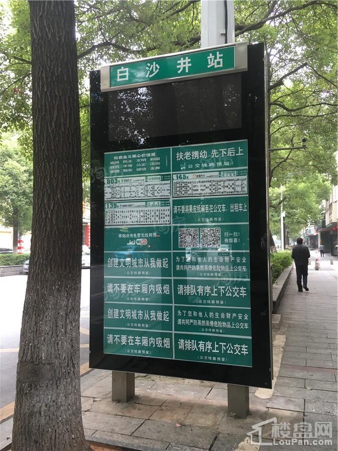 天心白沙里实景图