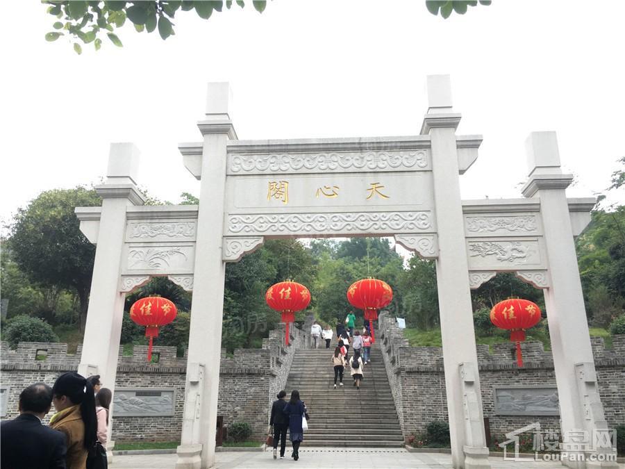 天心白沙里实景图