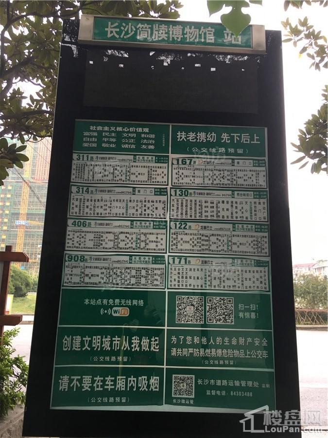 天心白沙里实景图