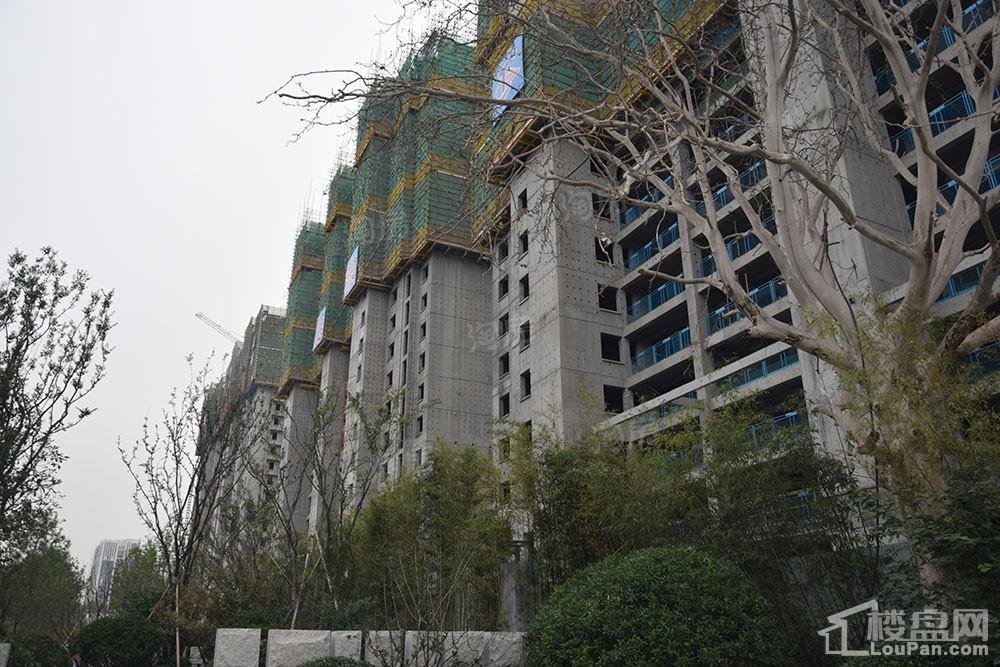 福园实景图