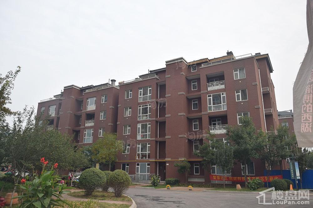 东岳·盛景澜庭实景图