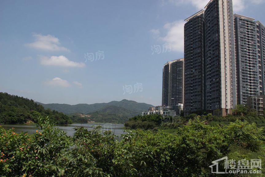 金地香山湖实景图