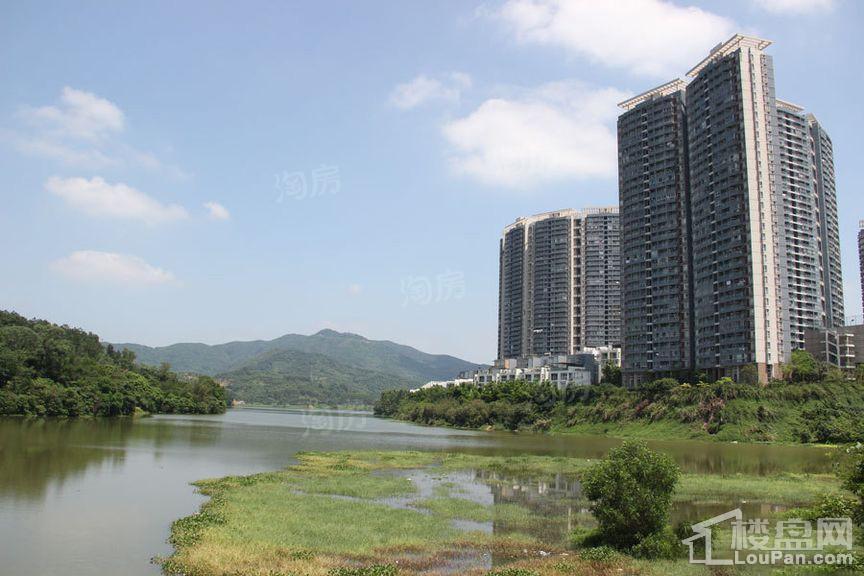 金地香山湖实景图