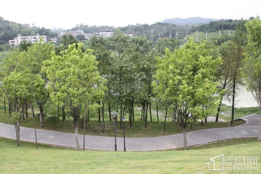 金地香山湖实景图