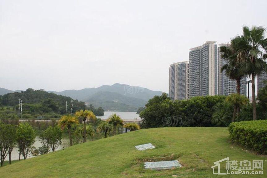 金地香山湖实景图