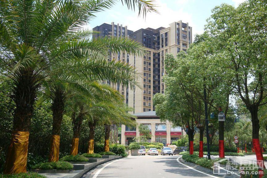 金地香山湖实景图