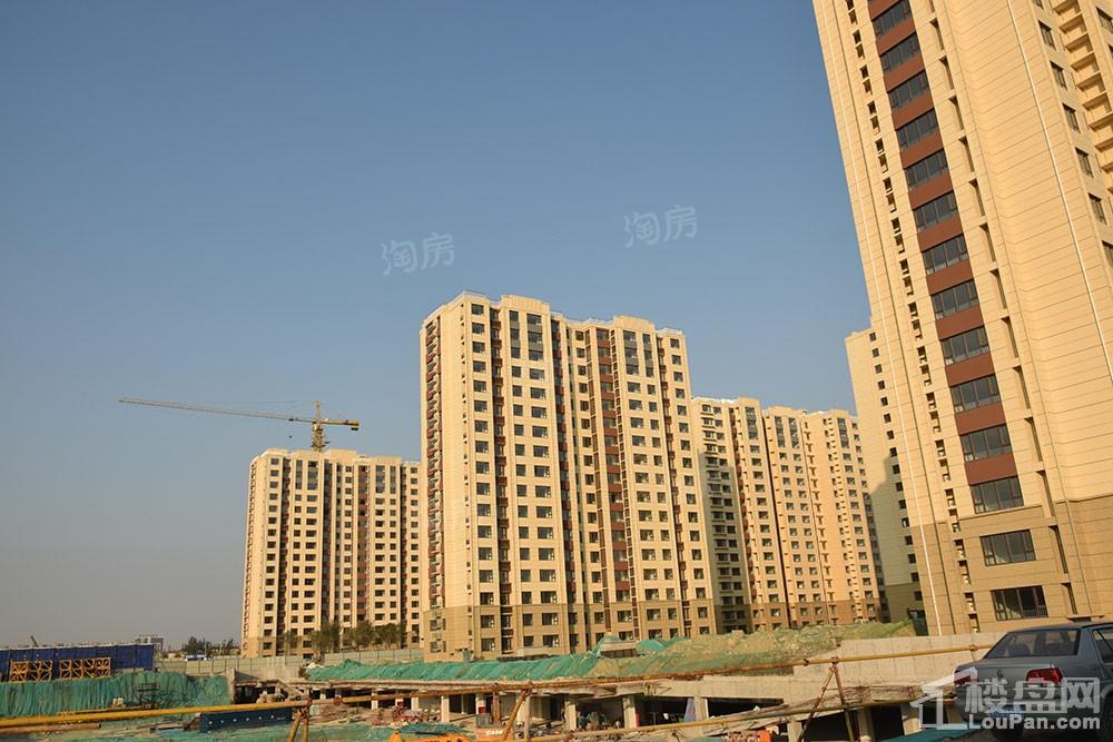中德·金科学府实景图
