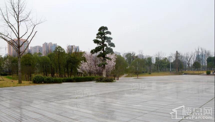 蔡家·中央大街配套图