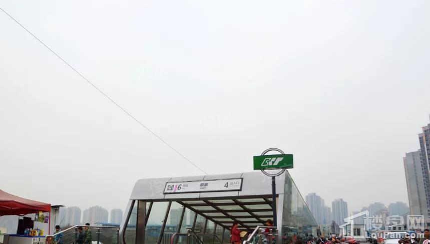 蔡家·中央大街位置图