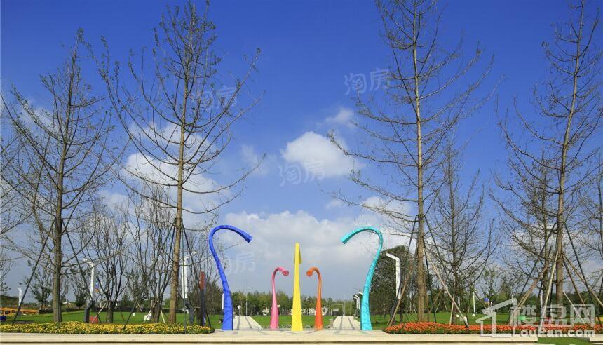 鲁能泰山7号实景图