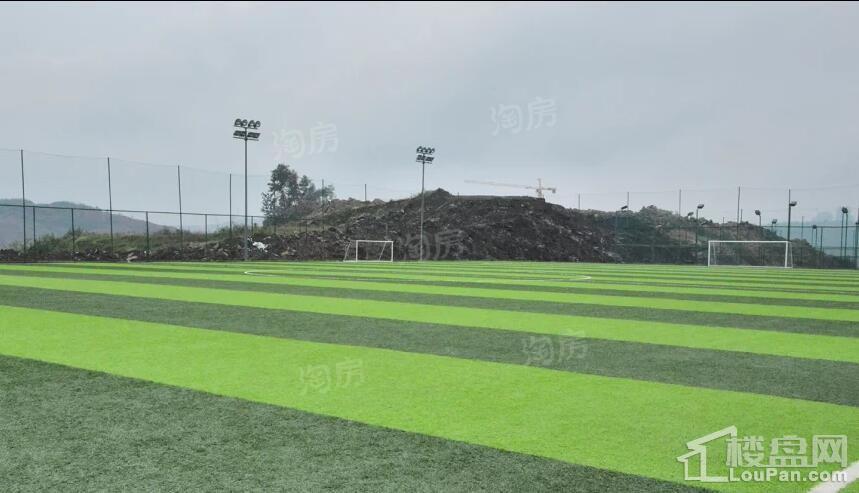 鲁能泰山7号实景图