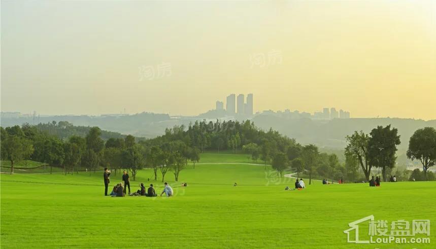 鲁能泰山7号实景图