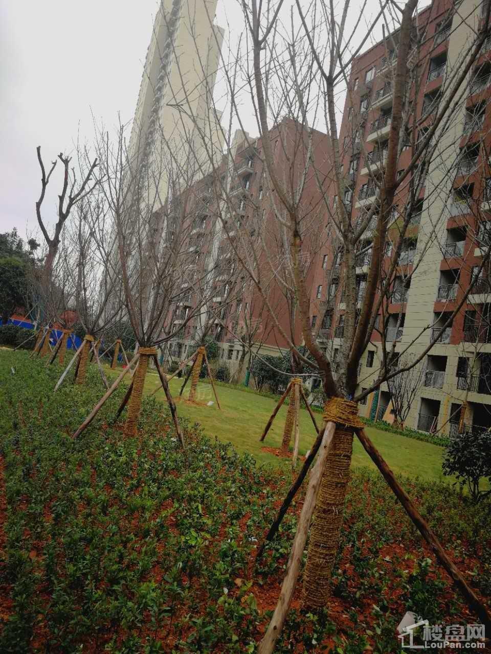 新华联梦想城实景图