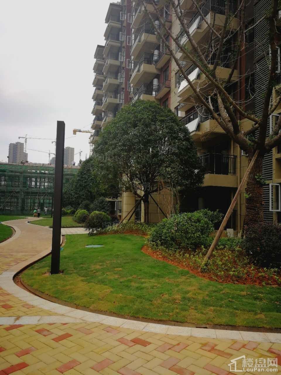 新华联梦想城实景图