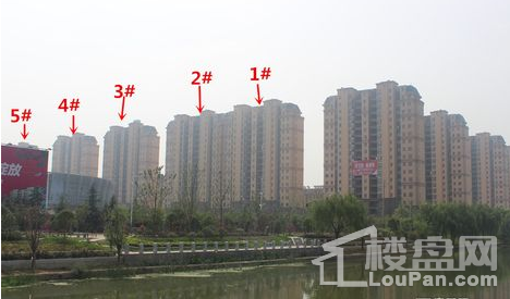 实景图
