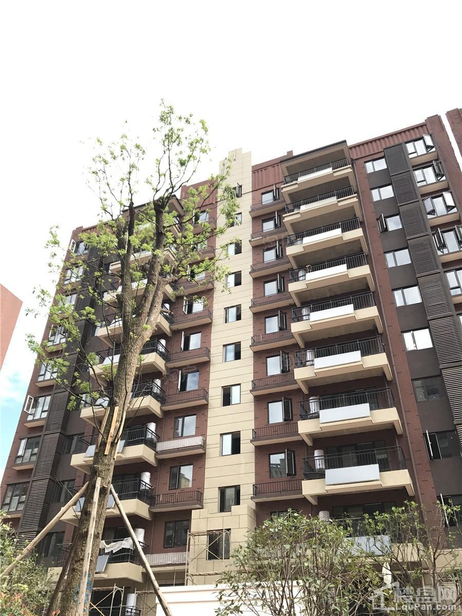 新华联梦想城实景图