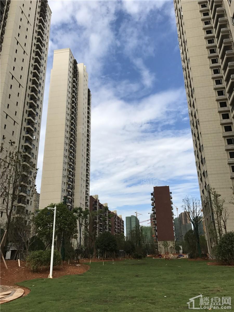 新华联梦想城实景图